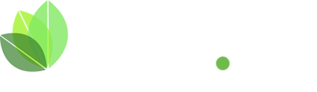 choosing CBD wholesale provider